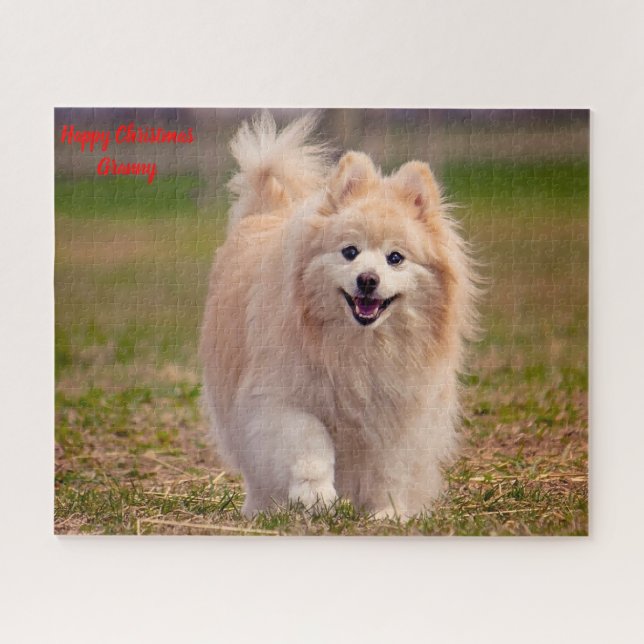 Pomeranian Dog. Jigsaw Puzzle (Horizontal)