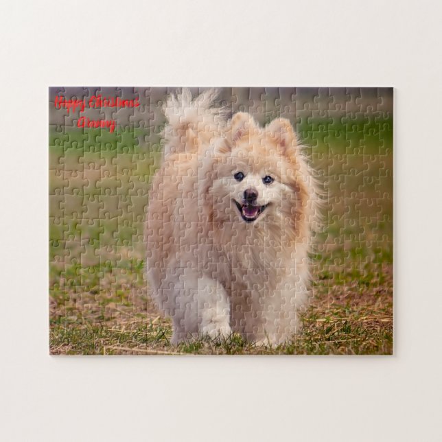 Pomeranian Dog. Jigsaw Puzzle (Horizontal)