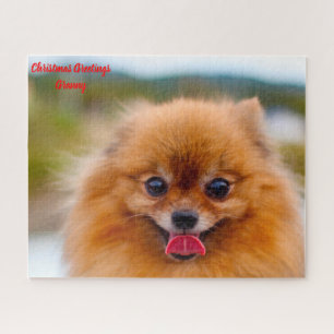 Pomeranian Dog. Jigsaw Puzzle