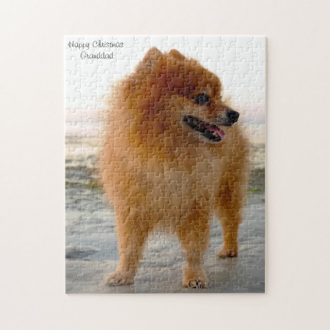 Pomeranian Dog. Jigsaw Puzzle (Vertical)
