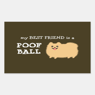 Pomeranian Dog   My Best Friend is a Poof Ball Sticker