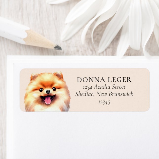 Pomeranian Dog Personalized Address (Insitu)