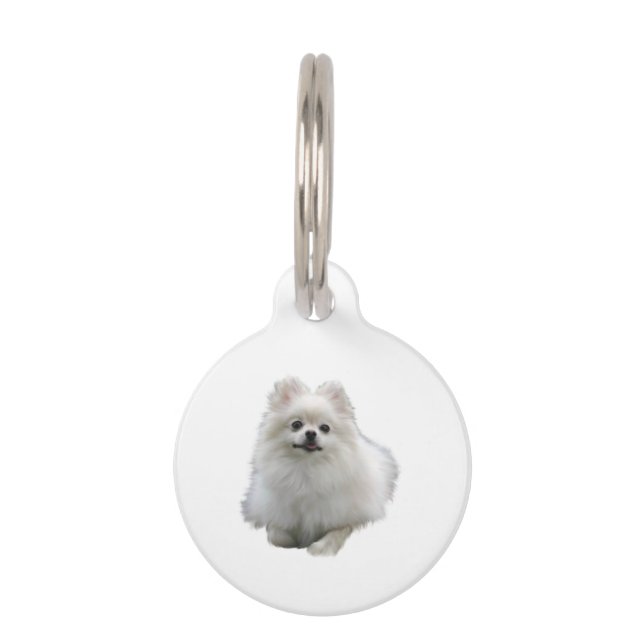 Pomeranian Dog Pet Tag (Front)