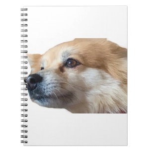 Pomeranian Dog Puppy Pommy Pommie Pet Notebook