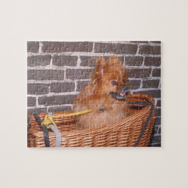 Pomeranian Dog Puzzle (Horizontal)
