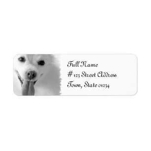Pomeranian Dog Return Address Mailing Label