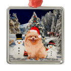 Pomeranian Dog Sitting In Snow Santa Hat Lights