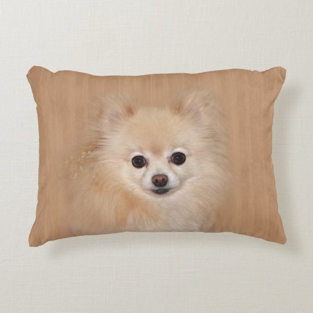 Pomeranian face decorative pillow (Front)