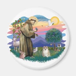 Pomeranian (fawn) magnet