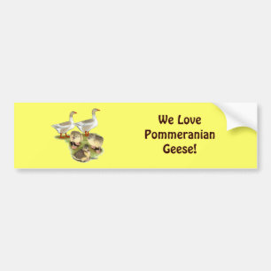 Pomeranian Goose Family Bumper Sticker