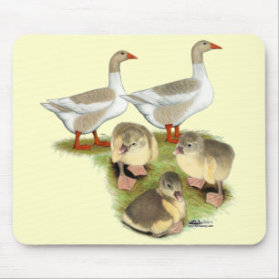 Pomeranian Goose Family Mouse Pad