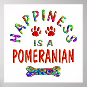 Pomeranian Happiness Poster