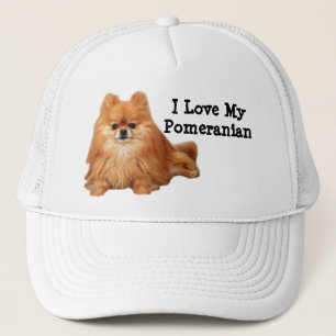 Pomeranian Hat