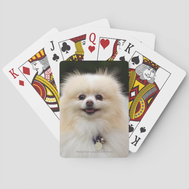 Pomeranian Headshot 1 Playing Cards (Back)