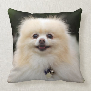 Pomeranian Headshot 1 Throw Pillow