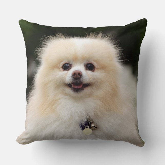 Pomeranian Headshot 1 Throw Pillow (Front)