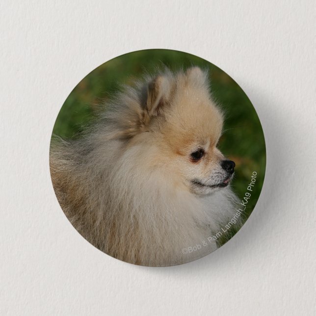 Pomeranian Headshot 2 2 Inch Round Button (Front)