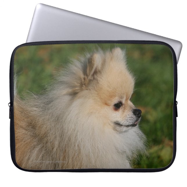 Pomeranian Headshot 2 Laptop Sleeve (Front)