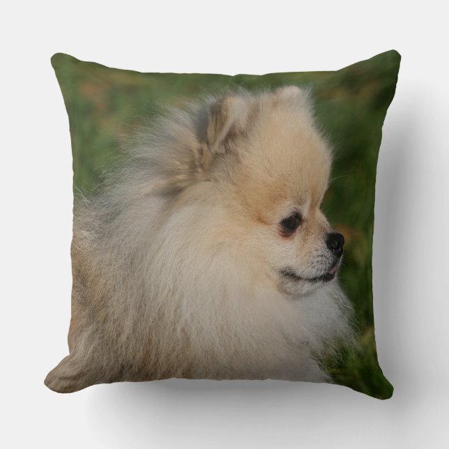 Pomeranian Headshot 2 Throw Pillow (Front)