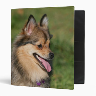 Pomeranian Headshot Panting Binder