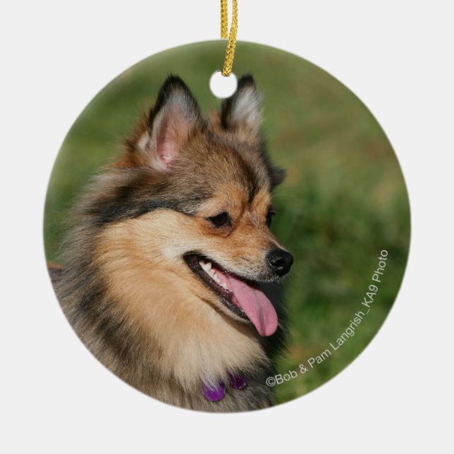 Pomeranian Headshot Panting Ceramic Ornament (Front)