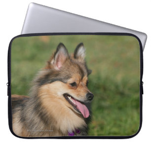 Pomeranian Headshot Panting Laptop Sleeve
