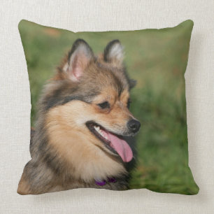 Pomeranian Headshot Panting Throw Pillow