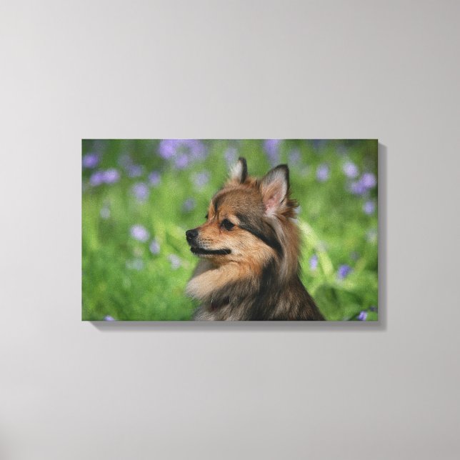 Pomeranian Headshot Sitting Canvas Print (Front)