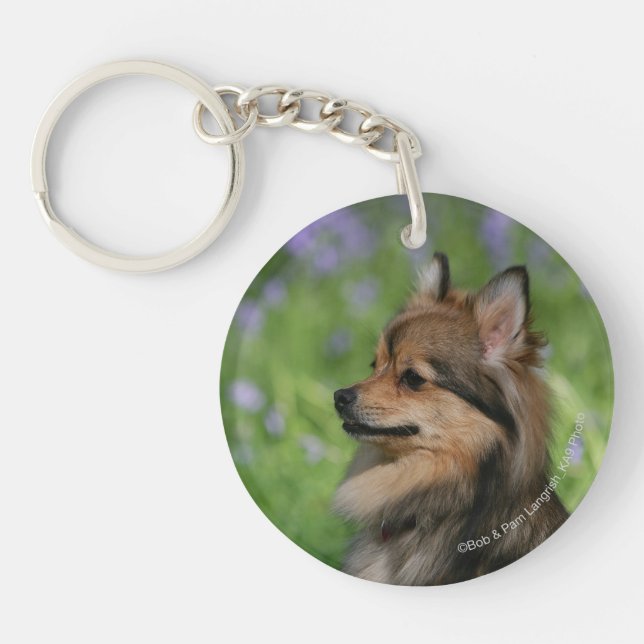 Pomeranian Headshot Sitting Keychain (Front)