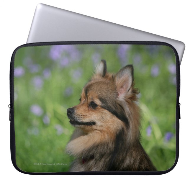 Pomeranian Headshot Sitting Laptop Sleeve (Front)
