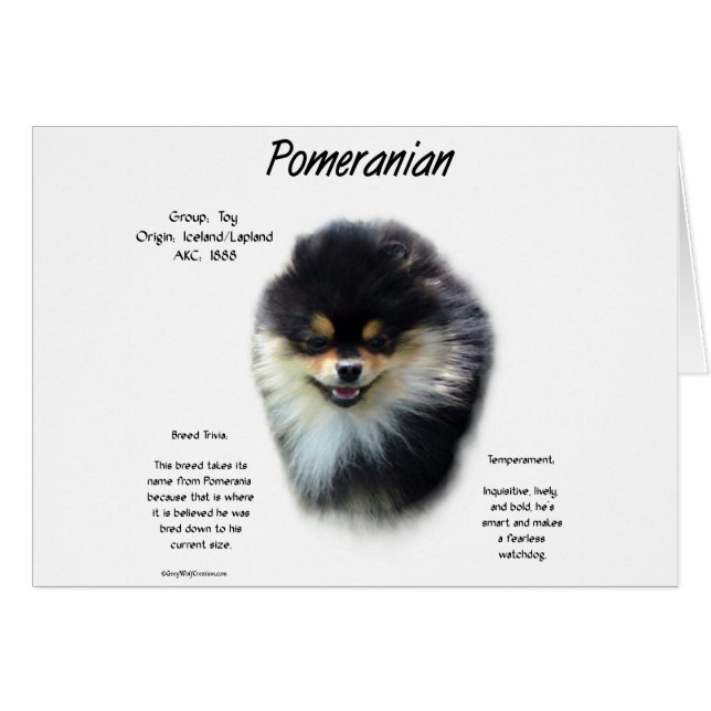 Pomeranian History Design (Front Horizontal)