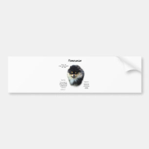 Pomeranian History Design Bumper Sticker