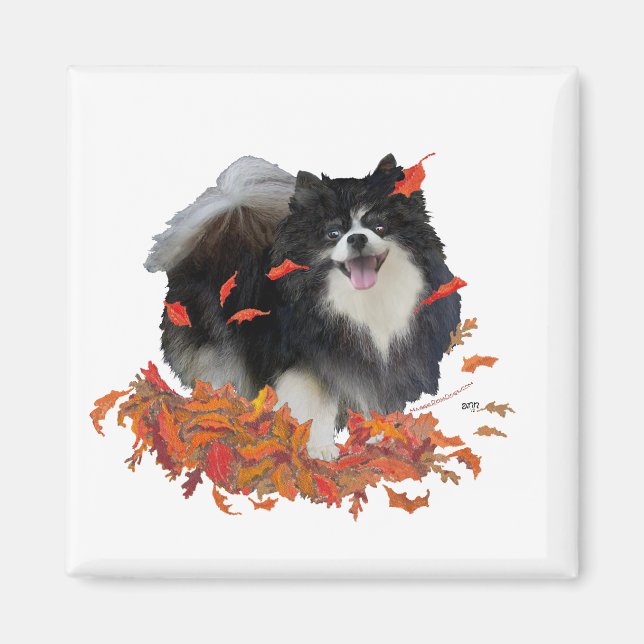 Pomeranian in Autumn Magnet (Front)