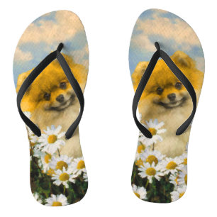 Pomeranian in Daisies Painting - Original Dog Art Flip Flops