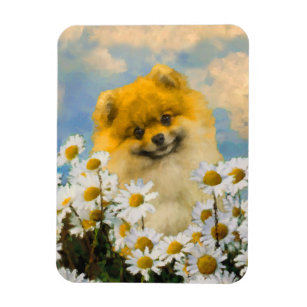 Pomeranian in Daisies Painting - Original Dog Art Magnet