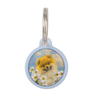 Pomeranian in Daisies Painting - Original Dog Art Pet Tag