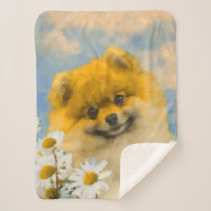 Pomeranian in Daisies Painting - Original Dog Art Sherpa Blanket