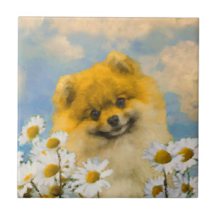 Pomeranian in Daisies Painting - Original Dog Art Tile