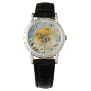 Pomeranian in Daisies Painting - Original Dog Art Watch