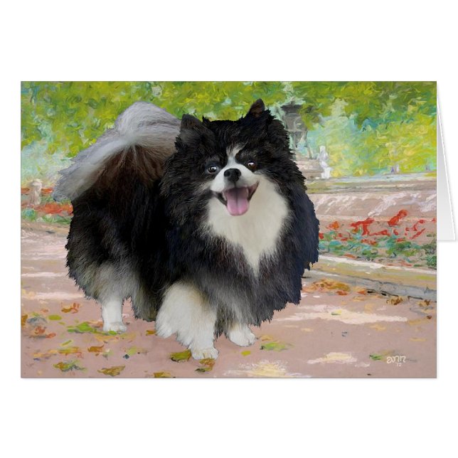 Pomeranian in Shady Promenade (Front Horizontal)