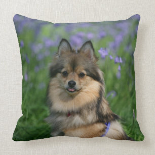 Pomeranian in the Grass Throw Pillow
