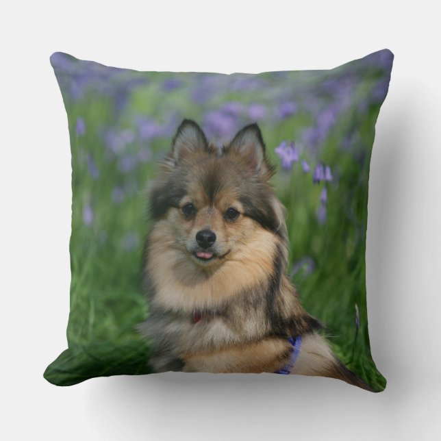 Pomeranian in the Grass Throw Pillow (Front)