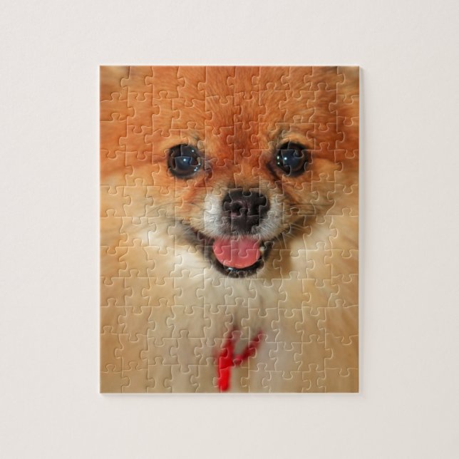 Pomeranian Jigsaw Puzzle (Vertical)