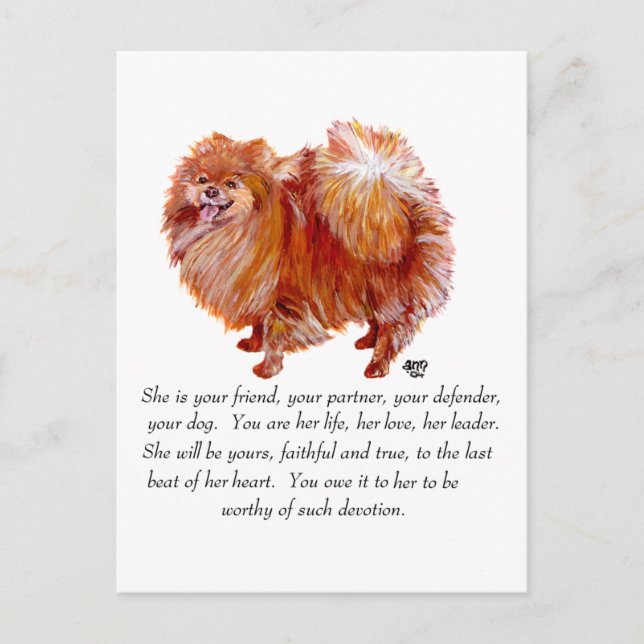 Pomeranian Keepsake Female Postcard (Front)