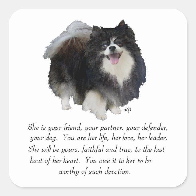 Pomeranian Keepsake Female Square Sticker (Front)