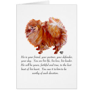 Poméranian Keepsake Male