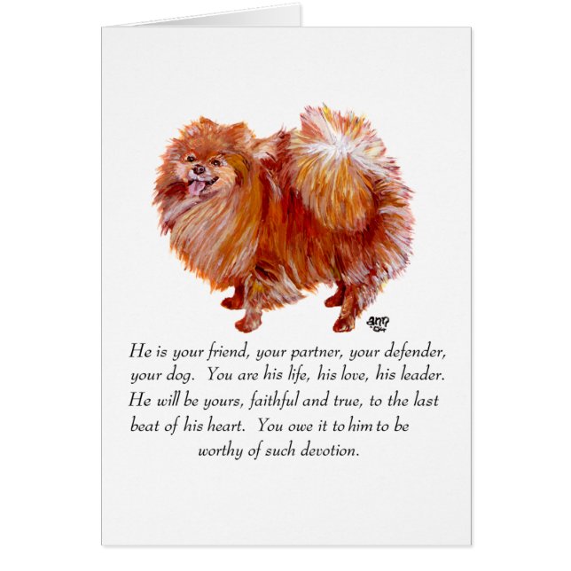 Pomeranian Keepsake Male (Front)