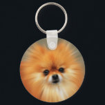 Pomeranian Keychain<br><div class="desc">The Pomeranian is a breed of dog in the spitz family, named for the Pomerania region in Central Europe, which is today part of northern Poland and part of modern eastern Germany, and classed as a toy dog breed because of its small size. As determined by the FCI the Pomeranian...</div>