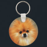 Pomeranian Keychain<br><div class="desc">The Pomeranian is a breed of dog in the spitz family, named for the Pomerania region in Central Europe, which is today part of northern Poland and part of modern eastern Germany, and classed as a toy dog breed because of its small size. As determined by the FCI the Pomeranian...</div>