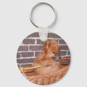 Pomeranian Keychain